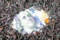 شروع رسیدگی به پرونده چای دبش با ۶۱ متهم