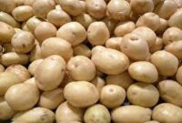 خرید قسطی به سیب زمینی و پیاز رسید
